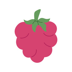 Hand drawn raspberry. Doodle berry for healthy diet eating