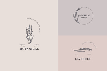 Line art lavender flower logotypes © Maria
