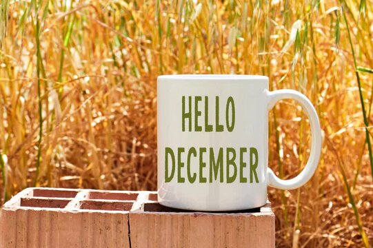 Hello december concept on White coffee mug mockup above brick near spike background