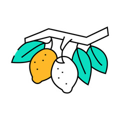branch lemon plant line icon vector. branch lemon plant sign. isolated symbol illustration