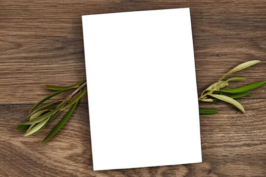 Wedding invitation card mockup with olives tree leaves on wood table. Blank card mockup