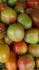 Pile of fresh tomatoes for sale at the market
