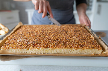 Homemade simple hazelnut sheet cake on a baking tray. Served by a woman with apron in the kitchen