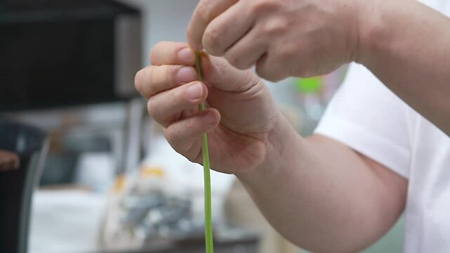 초록색 고구마순의 껍질을 벗기는 모습