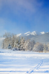 Winter forest, wooden fence, mountain peaks