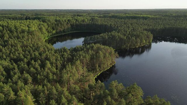 Flyover small lake with natural shoreline in northern boreal forest