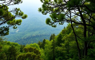 Abstract Background of Lush Moss: Fresh and Textured Flora