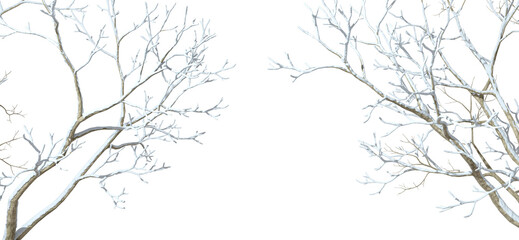 Snowy covered tree branches wintertime cut out transparent backgrounds 3d render png