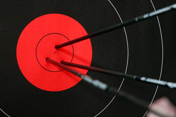 Arrows in red center of archery target