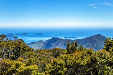 Marlborough Sounds, South Island, New Zealand, Oceania.