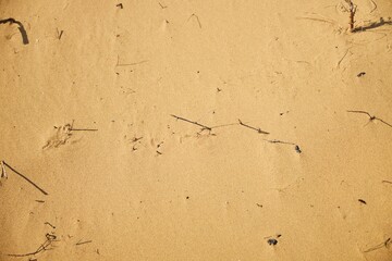 A sandy background with a wave pattern. The sand is brown and the wave pattern is wavy