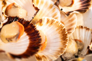 A close-up of three opened shellfish, highlighting their tender insides and juicy texture, perfect for high-end restaurant promotions.