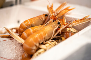 A beautifully presented whole lobster on a plate showcases its striking appearance. It is ideal for gourmet food promotions and seafood restaurant visuals.