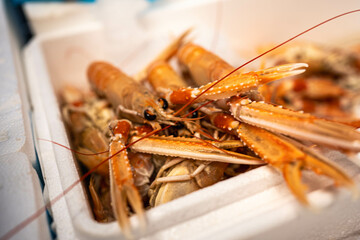 A detailed shot of lobster claws, emphasizing their size and texture. Great for illustrating the premium quality of seafood dishes.