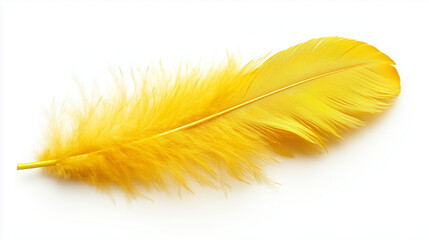 Fototapeta premium A bright yellow feather lies on a white background. It has a fluffy texture and a saturated color that stands out against the simple backdrop