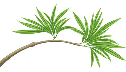 Fototapeta premium Cut Out Palm Tree Branch with Vibrant Green Leaves Isolated on White Background