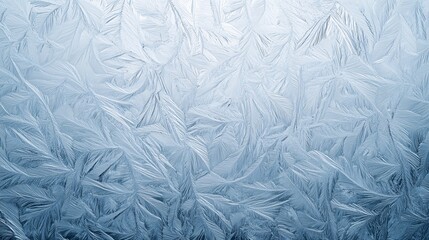 Frost forming intricate feather-like patterns on a window, creating a natural abstract design