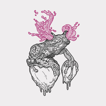 recommend clip art: Frog outline drawing handmade art illustration