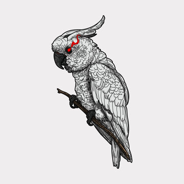 recommend clip art: Parrot bird artwork hand drawn illustration