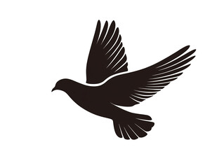 Fototapeta premium a black bird with wings spread