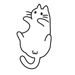 Cat cute 