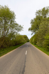 narrow road through the forest in rural areas