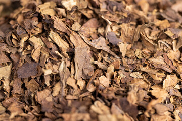 a broken and colored cigar made of high-quality tobacco leaves