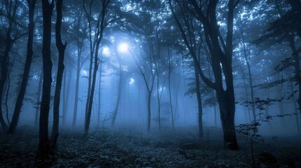 Fototapeta premium Ethereal Forest with Mist and Soft Light