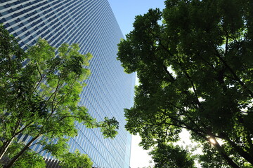 横浜みなとみらいにある高いビジネスビルや施設のある都市風景