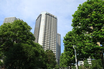 横浜みなとみらいにある高いビジネスビルや施設のある都市風景