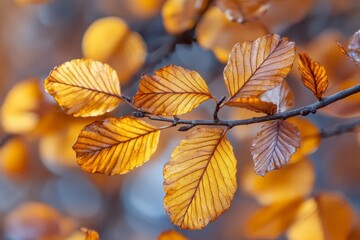 Fototapeta premium Vibrant autumn leaves glow with an inner light, basking in bright sunlight and illustrating the natural beauty and warmth of the fall season, rich in detail.