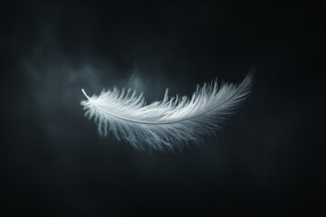 An ethereal white feather floats on a dark background, embodying the fragility and beauty of nature in its minimalist and artistic form of expression.