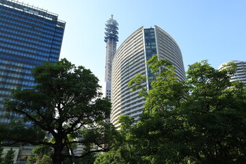 Fototapeta premium 横浜みなとみらいグランモール公園の樹木のある都市風景