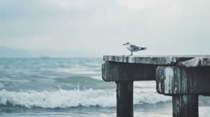 Fototapeta premium A seagull stands on a rustic dock against a backdrop of crashing ocean waves, evoking a sense of freedom and adventure.