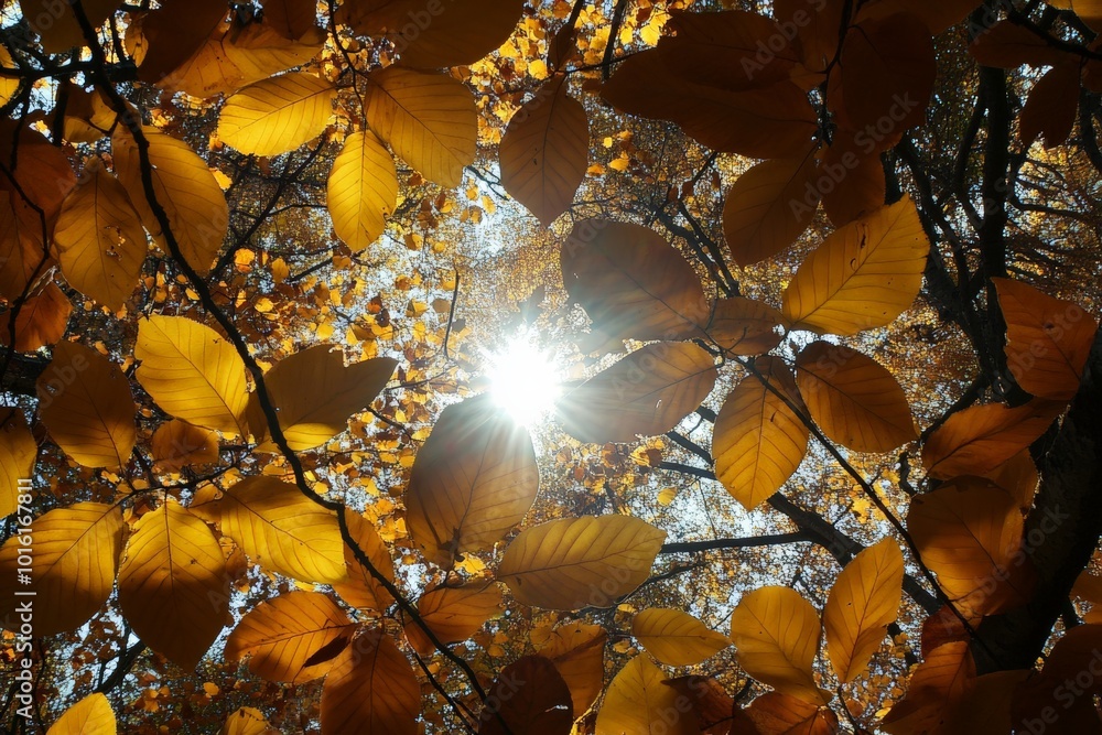 Poster Beautiful autumn leaves with golden hues and intricate details gently sway while sunlight softly filters through, creating a warm and tranquil ambiance in nature's tapestry.