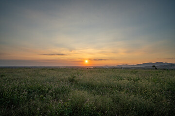 sunset over the field