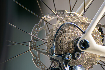 Obraz premium detail of the brake disc of a rear wheel and the gear sprockets of a professional road racing bicycle