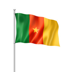 Cameroon flag isolated on white