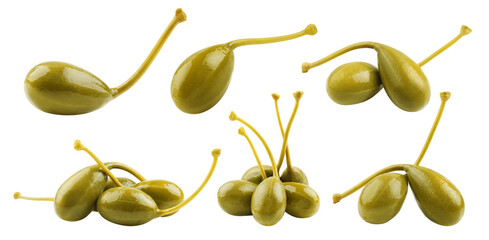 Caper isolated on white background, full depth of field