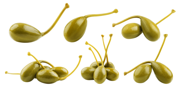 Caper isolated on white background, full depth of field