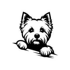 Westie Dog