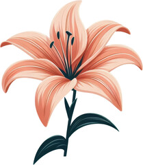 Pink Lily Flower with Green Stem