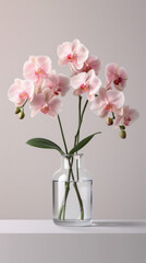 Pink Orchid Flowers in Glass Vase