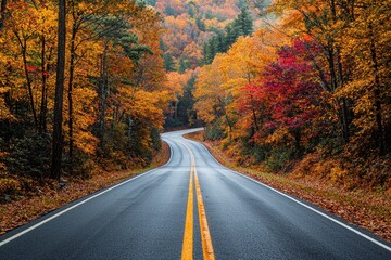 Fototapeta premium A scenic winding road through vibrant autumn trees, showcasing a beautiful display of orange, yellow, and red foliage