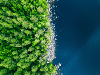 Aerial view of blue water lake with stone coast and green summer woods in Finland © Ekaterina Kondratova