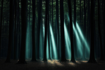 Sunlight beams penetrate through the dense canopy of tall trees in a dark and misty forest, creating an ethereal and serene atmosphere.