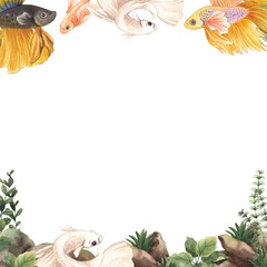 Thai Betta Splendens: Nature's Living Art in Aquatic Landscapes, thai betta splendens, hand-drawn watercolor painting frame design