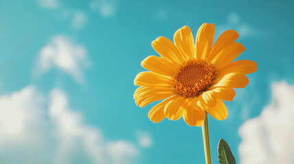 This image features a solitary yellow flower standing tall against a vivid blue sky, a symbol of hope and beauty, with soft clouds adding depth to the scene.