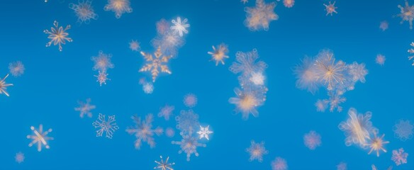 Snowflakes Falling on Blue Background