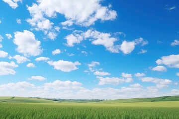 Fototapeta premium Sky landscape outdoors horizon.